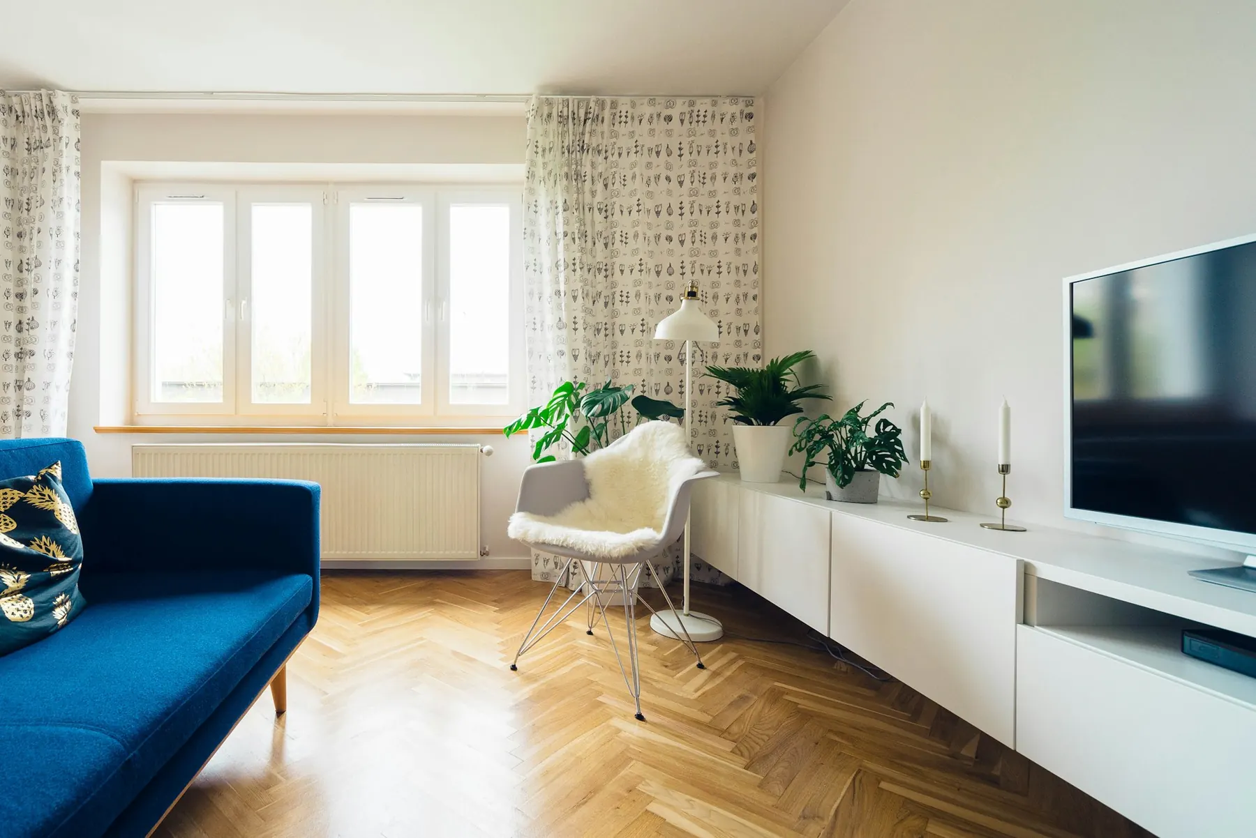 Bright lounge with blue sofa and timber floor